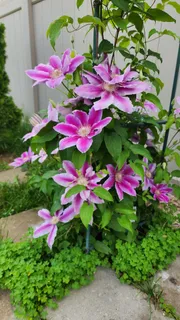 $750,000 | 1770 Windmill Court, Addison, IL 60101