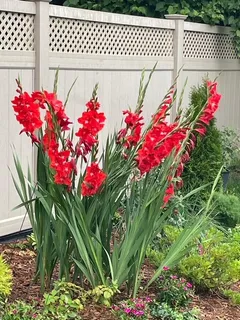 $750,000 | 1770 Windmill Court, Addison, IL 60101