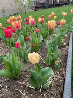 $750,000 | 1770 Windmill Court, Addison, IL 60101