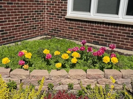 $750,000 | 1770 Windmill Court, Addison, IL 60101