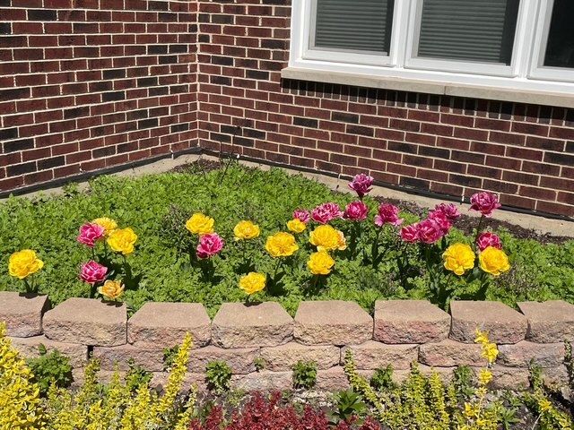 1770 Windmill Court Addison, IL 60101 - Photo 55 of 58