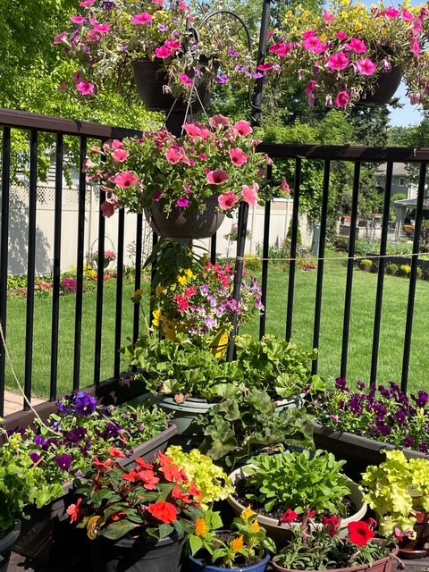 1770 Windmill Court Addison, IL 60101 - Photo 56 of 58