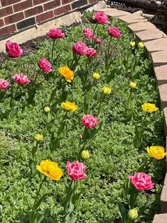 $750,000 | 1770 Windmill Court, Addison, IL 60101