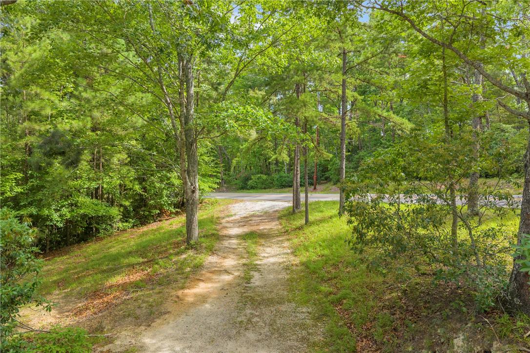 383 Rocky Knoll Road Walhalla, SC 29691 - Photo 15 of 50 A secluded wooded lot offers privacy and a peaceful natural setting.