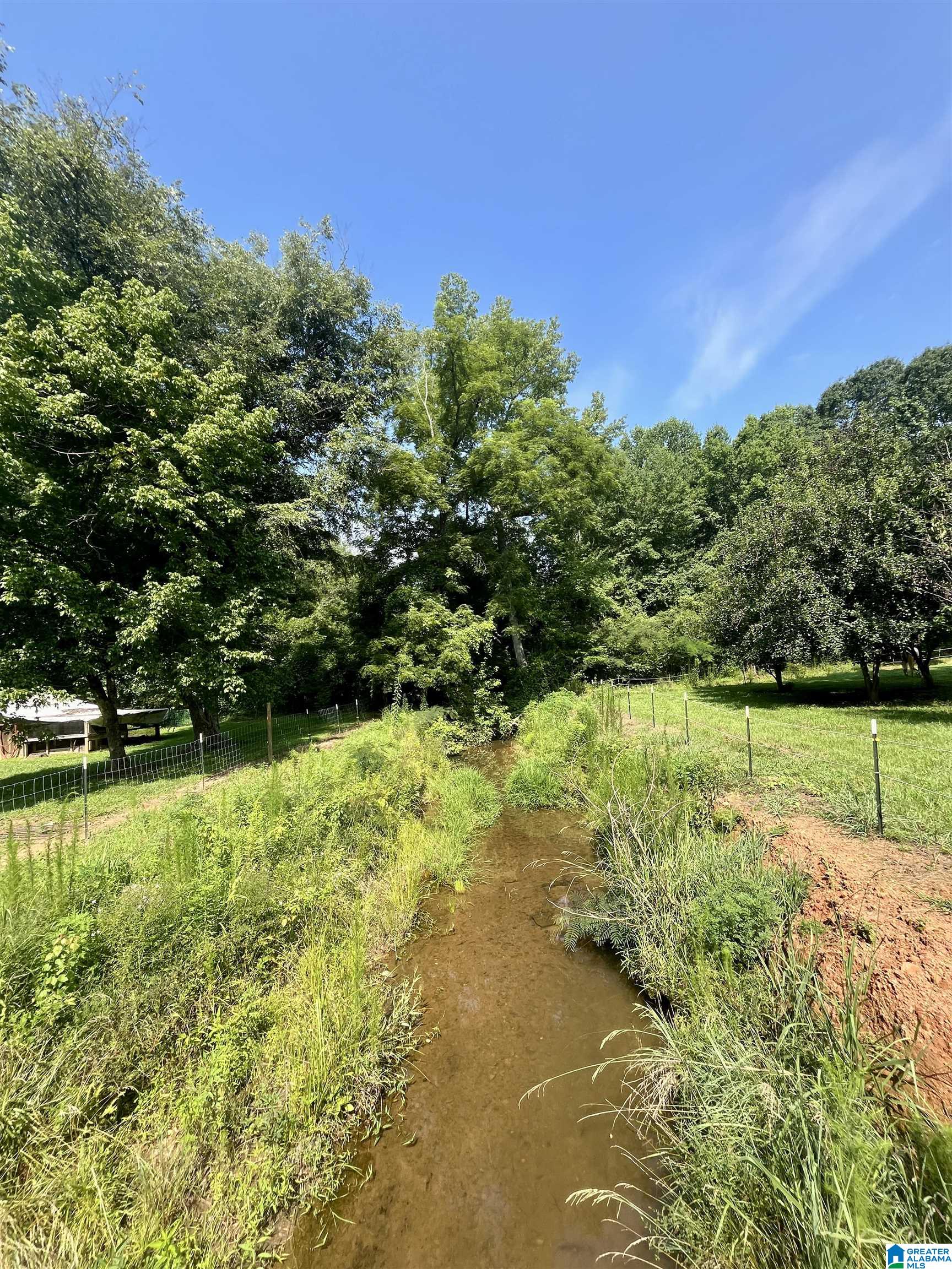 780 Lost Creek Road Delta, AL 36258 - Photo 11 of 50 Gallery Image 11