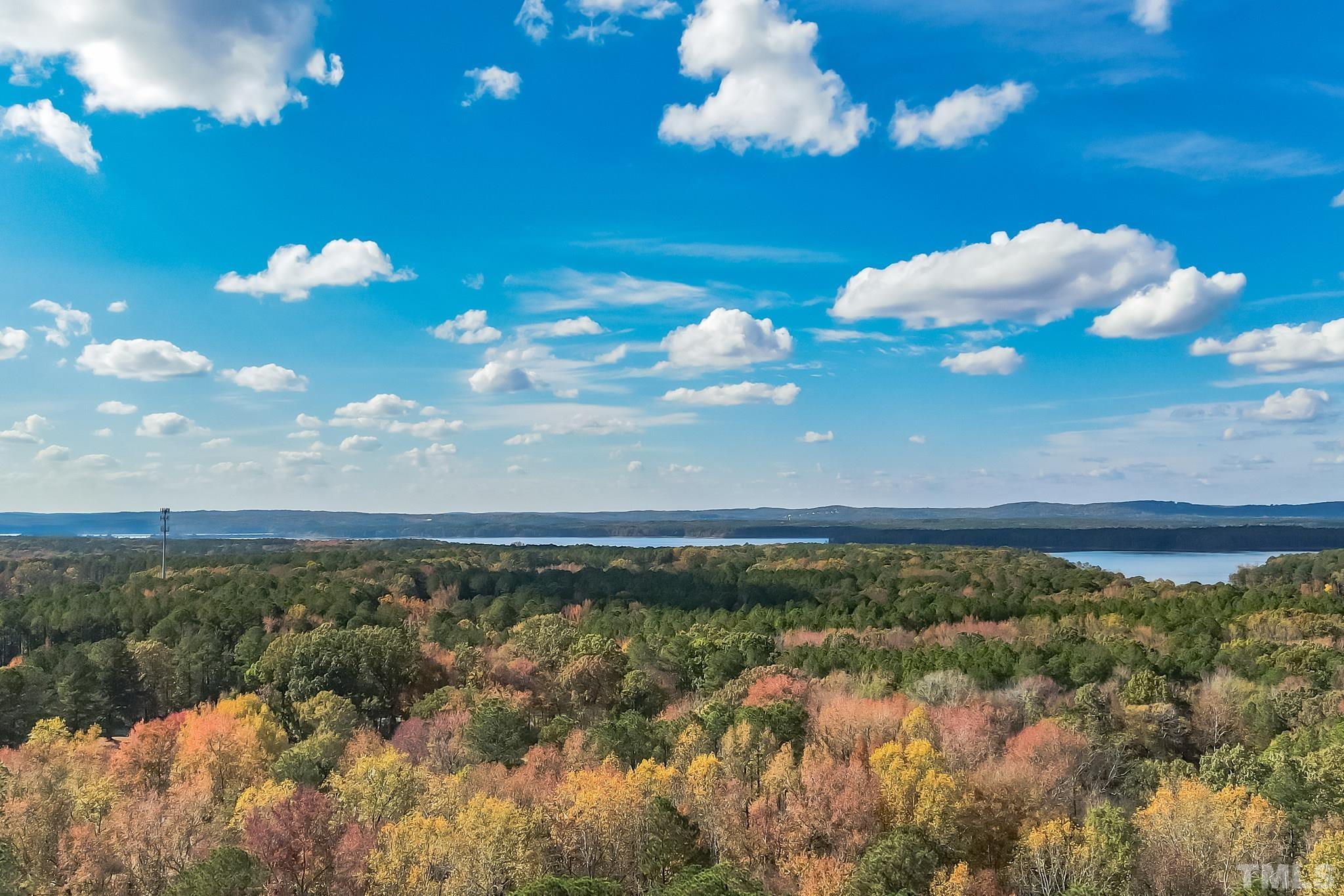 290 Thomas Cash Road Apex, NC 27523 - Photo 3 of 40 a view of a lake
