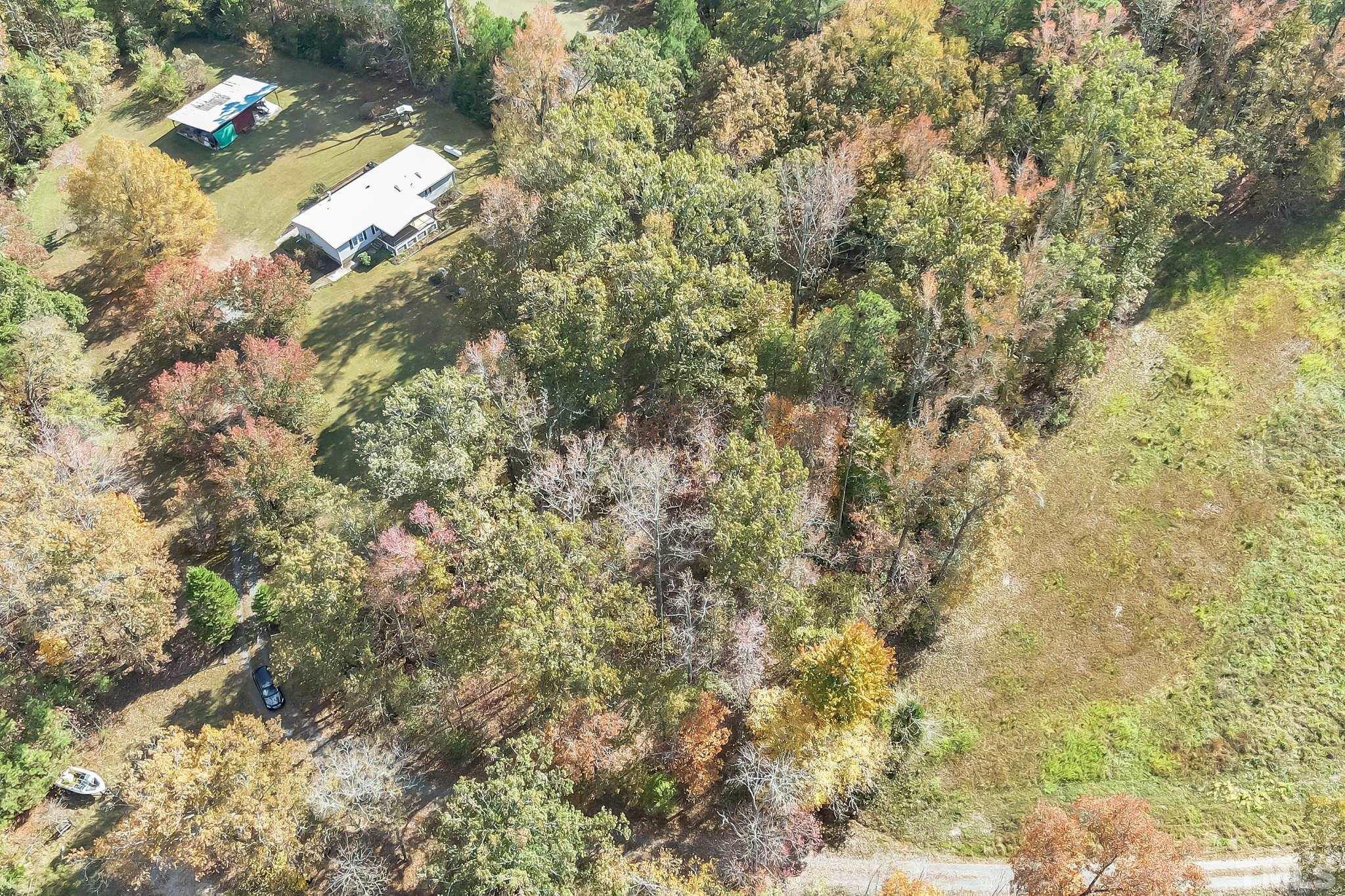 290 Thomas Cash Road Apex, NC 27523 - Photo 35 of 40 a view of a tree with a yard