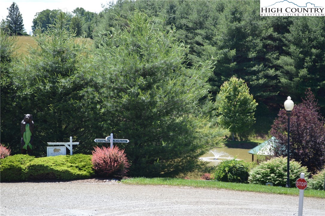405 Bear Den Road Sparta, NC 28675 - Photo 42 of 44 Gallery Image 42