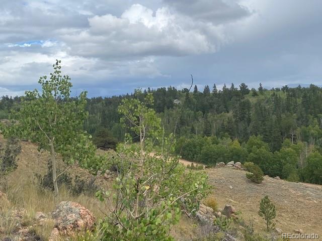 8518 Remington Road Como, CO 80432 - Photo 1 of 27