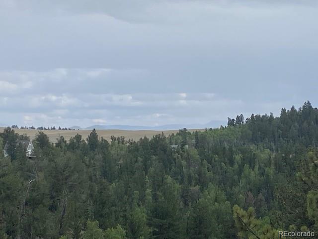 8518 Remington Road Como, CO 80432 - Photo 11 of 27 a view of a city and lush green forest