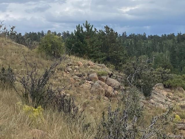 8518 Remington Road Como, CO 80432 - Photo 12 of 27 a view of a bunch of trees in a field