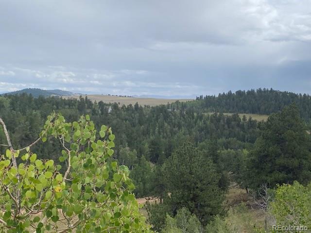 8518 Remington Road Como, CO 80432 - Photo 13 of 27 a view of a lake with a mountain in the back