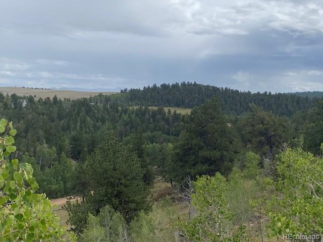 8518 Remington Road Como, CO 80432 - Photo 14 of 27