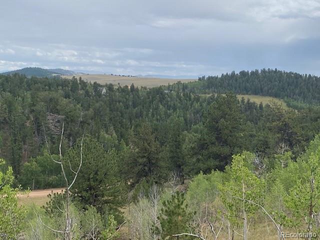 8518 Remington Road Como, CO 80432 - Photo 16 of 27 a view of a lush green forest with a lake