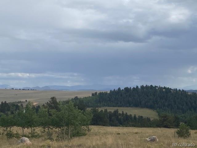 8518 Remington Road Como, CO 80432 - Photo 20 of 27 a view of a city