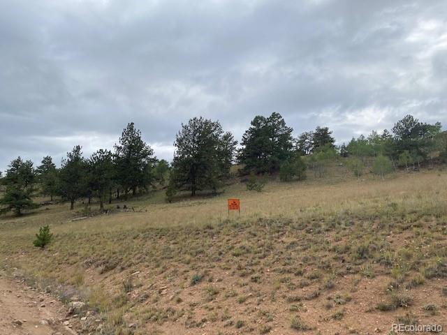 8518 Remington Road Como, CO 80432 - Photo 22 of 27