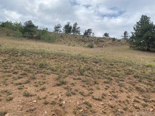 8518 Remington Road Como, CO 80432 - Photo 24 of 27 a view of a field with trees in background