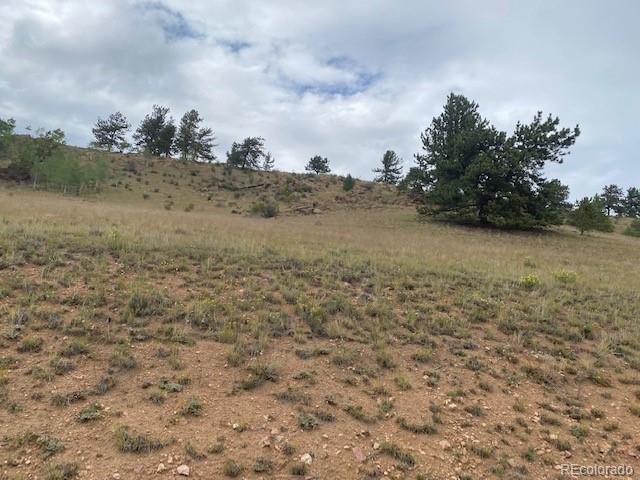 8518 Remington Road Como, CO 80432 - Photo 25 of 27 a view of a dry yard with trees in the background