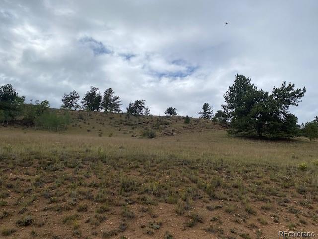 8518 Remington Road Como, CO 80432 - Photo 26 of 27 a view of a field with trees in background