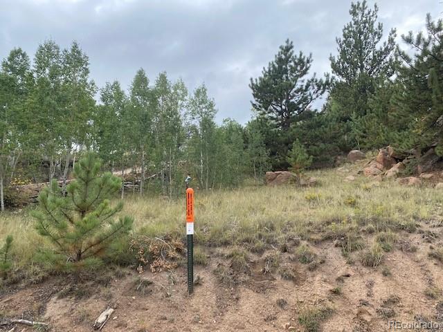 8518 Remington Road Como, CO 80432 - Photo 27 of 27 a front view of a house with a yard