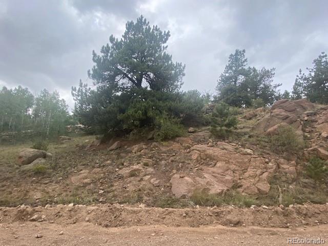 8518 Remington Road Como, CO 80432 - Photo 3 of 27 a view of a yard with a tree