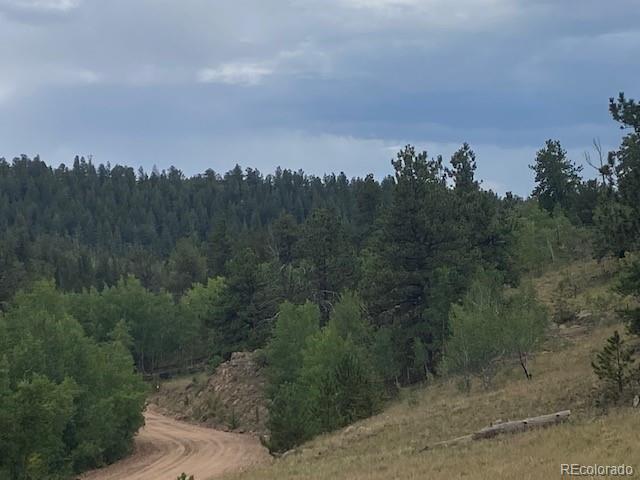 8518 Remington Road Como, CO 80432 - Photo 4 of 27