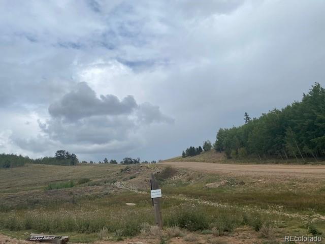 8518 Remington Road Como, CO 80432 - Photo 5 of 27 a view of a field with trees in background