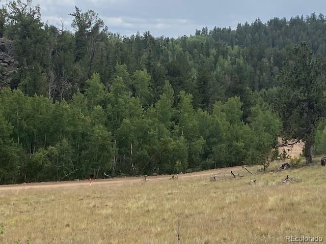 8518 Remington Road Como, CO 80432 - Photo 6 of 27 a view of a dry yard with trees