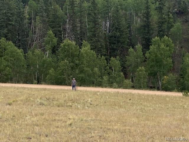 8518 Remington Road Como, CO 80432 - Photo 7 of 27