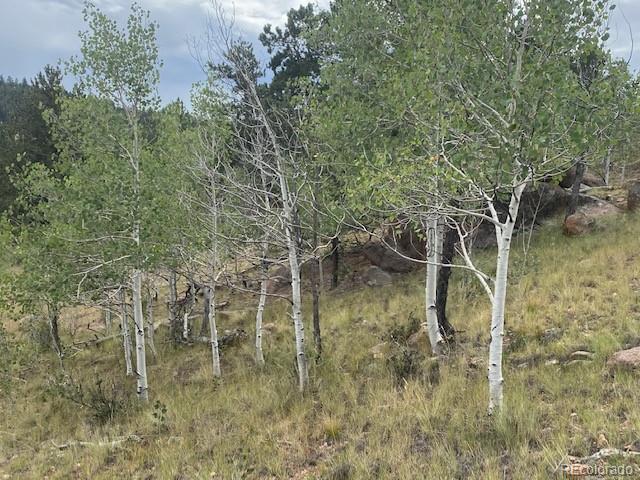 8518 Remington Road Como, CO 80432 - Photo 8 of 27 a backyard of a house with lots of green space