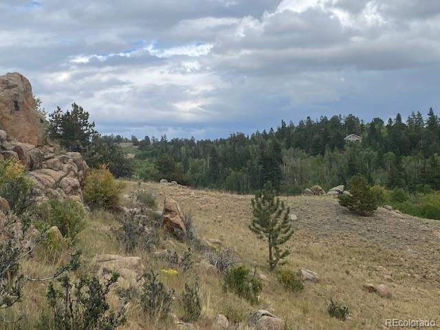8518 Remington Road Como, CO 80432 - Photo 10 of 27 a view of a yard with a tree
