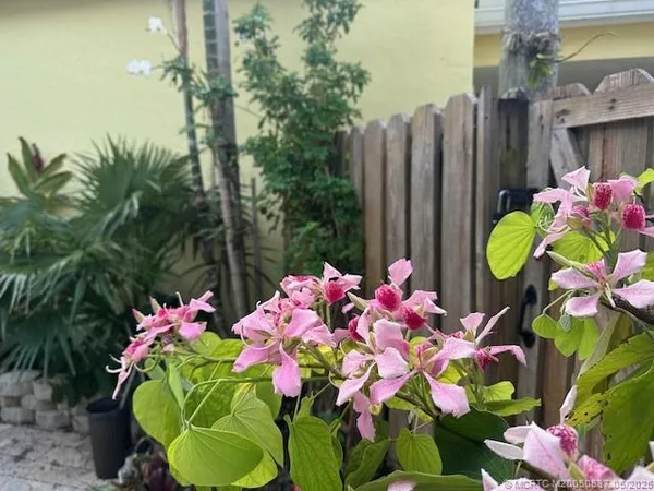 a plant that is in a garden