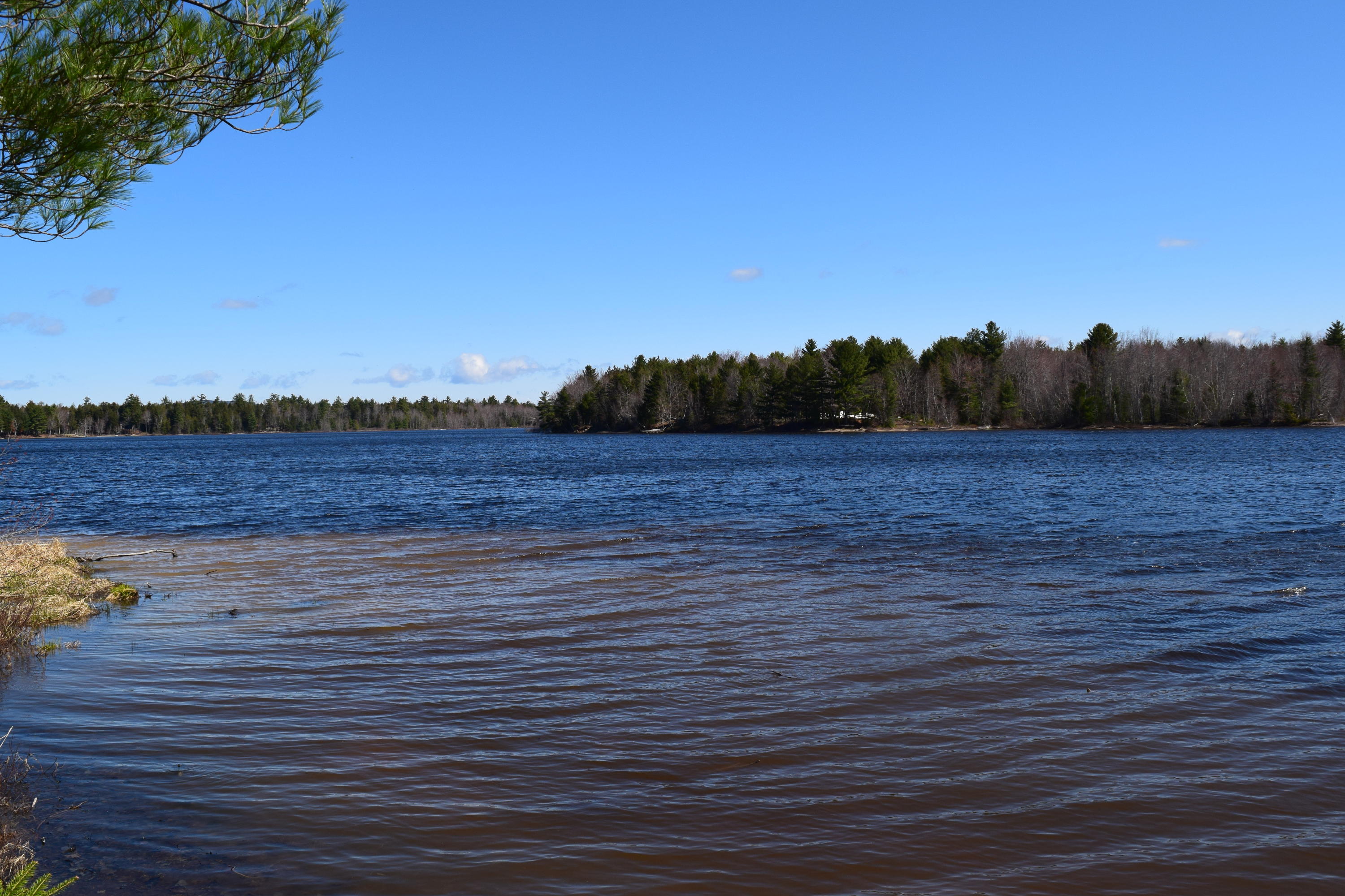 0 Morrison Farm Road Ellsworth, ME 04605 - Photo 3 of 8 DSC_0122