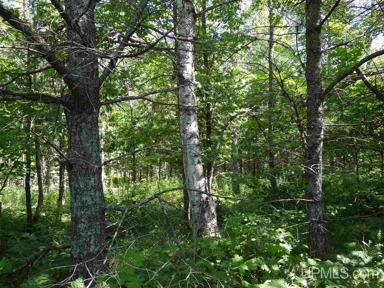 Tbd Lilja Road Calumet, MI 49913 - Photo 14 of 24
