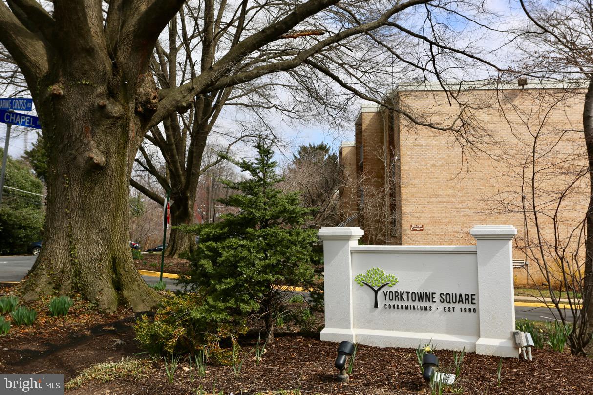 2911 Charing Cross Road, Unit 10 Falls Church, VA 22042 - Photo 1 of 23