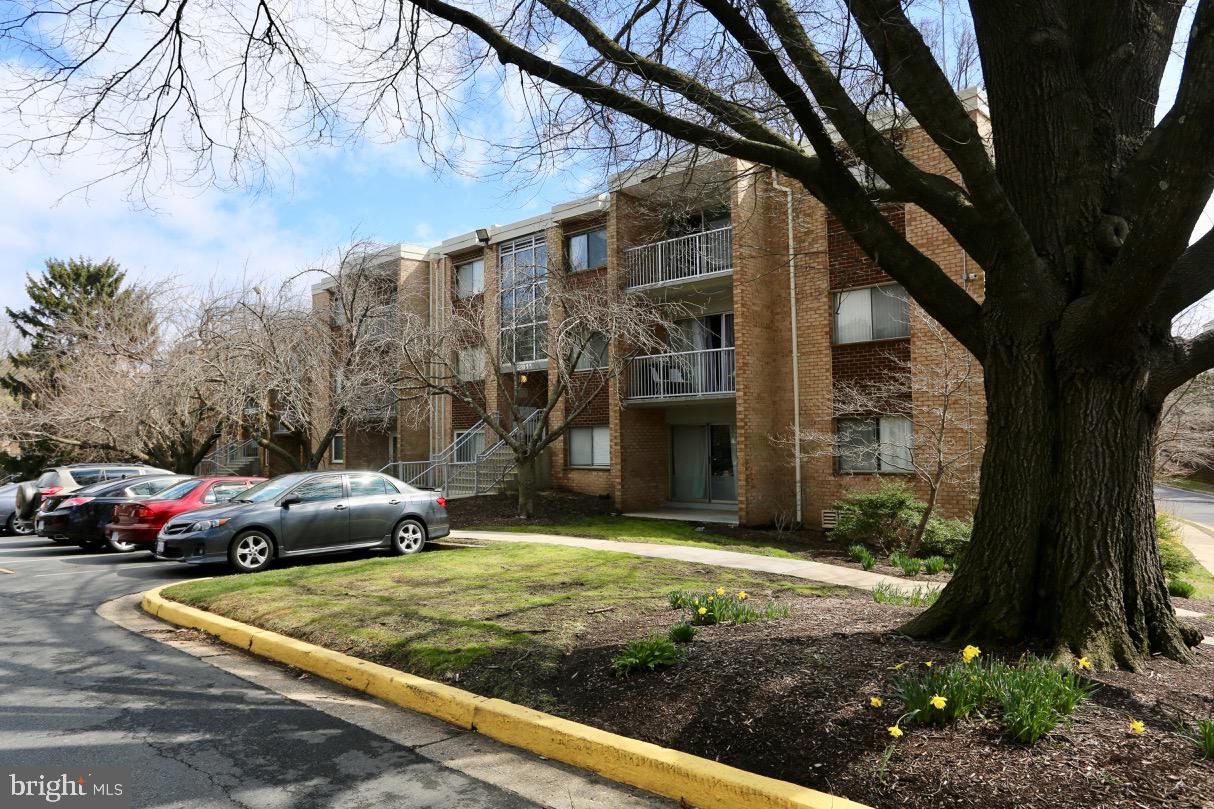 2911 Charing Cross Road, Unit 10 Falls Church, VA 22042 - Photo 4 of 23