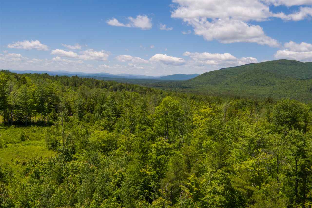 Lot 28 Durgin Road Center Tuftonboro, NH 03816 - Photo 1 of 20 Gallery Image 1