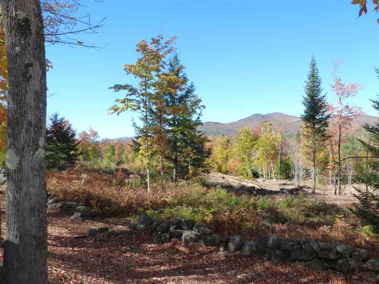 Lot 28 Durgin Road Center Tuftonboro, NH 03816 - Photo 14 of 20 Gallery Image 14
