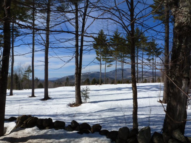 Lot 28 Durgin Road Center Tuftonboro, NH 03816 - Photo 16 of 20 Gallery Image 16