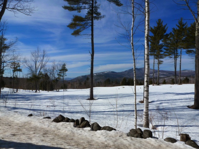 Lot 28 Durgin Road Center Tuftonboro, NH 03816 - Photo 17 of 20 Gallery Image 17