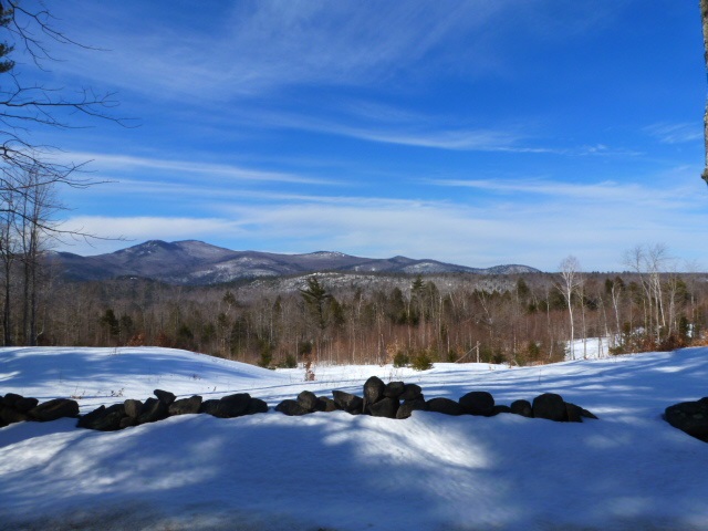 Lot 28 Durgin Road Center Tuftonboro, NH 03816 - Photo 19 of 20 Gallery Image 19