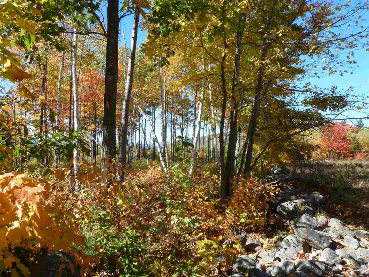 Lot 28 Durgin Road Center Tuftonboro, NH 03816 - Photo 9 of 20 Gallery Image 9