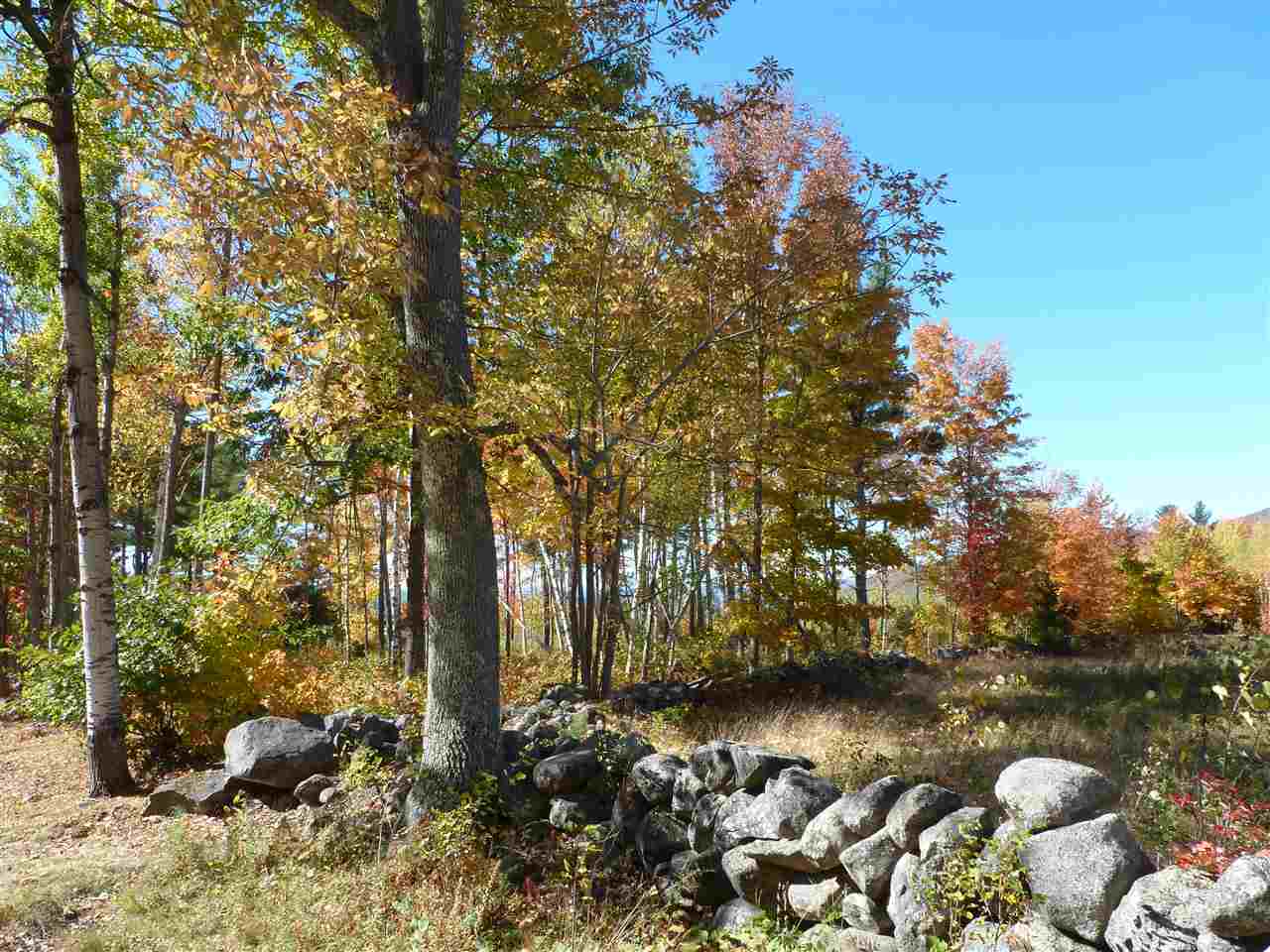 Lot 28 Durgin Road Center Tuftonboro, NH 03816 - Photo 10 of 20 Gallery Image 10