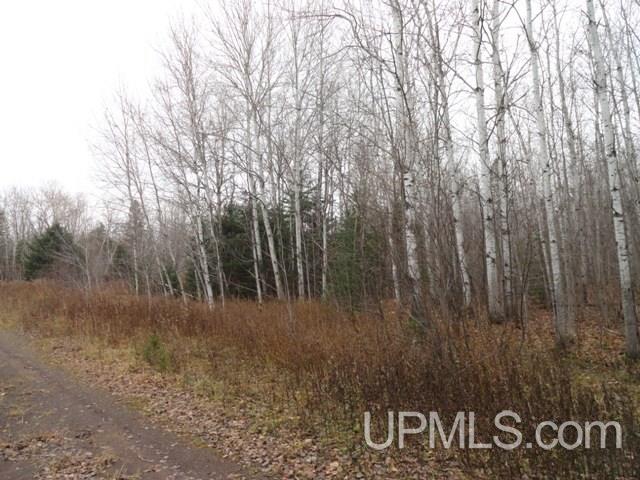 24494 L P Walsh Road White Pine, MI 49971 - Photo 27 of 28