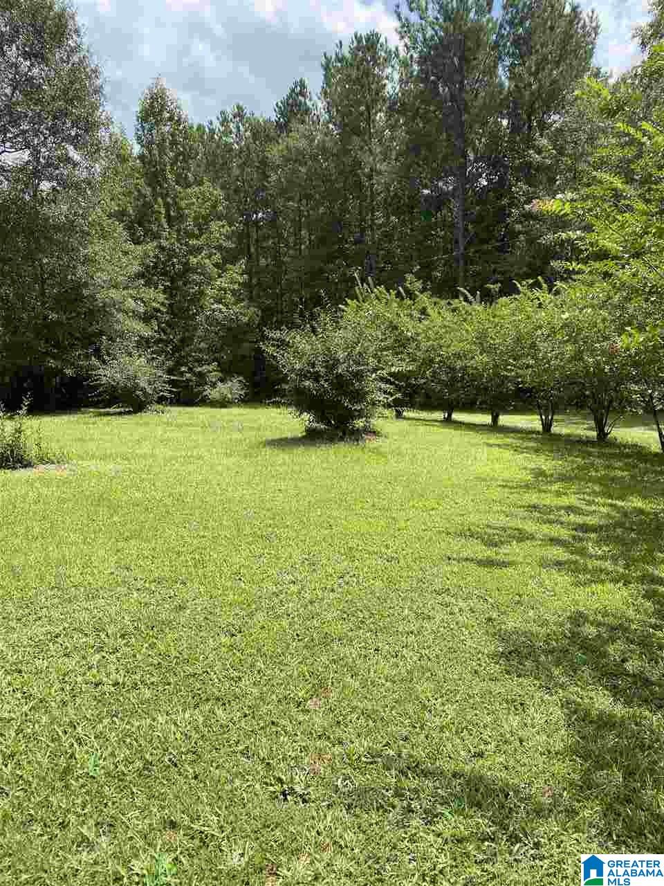 201 Double Oak Lane Ragland, AL 35131 - Photo 2 of 21