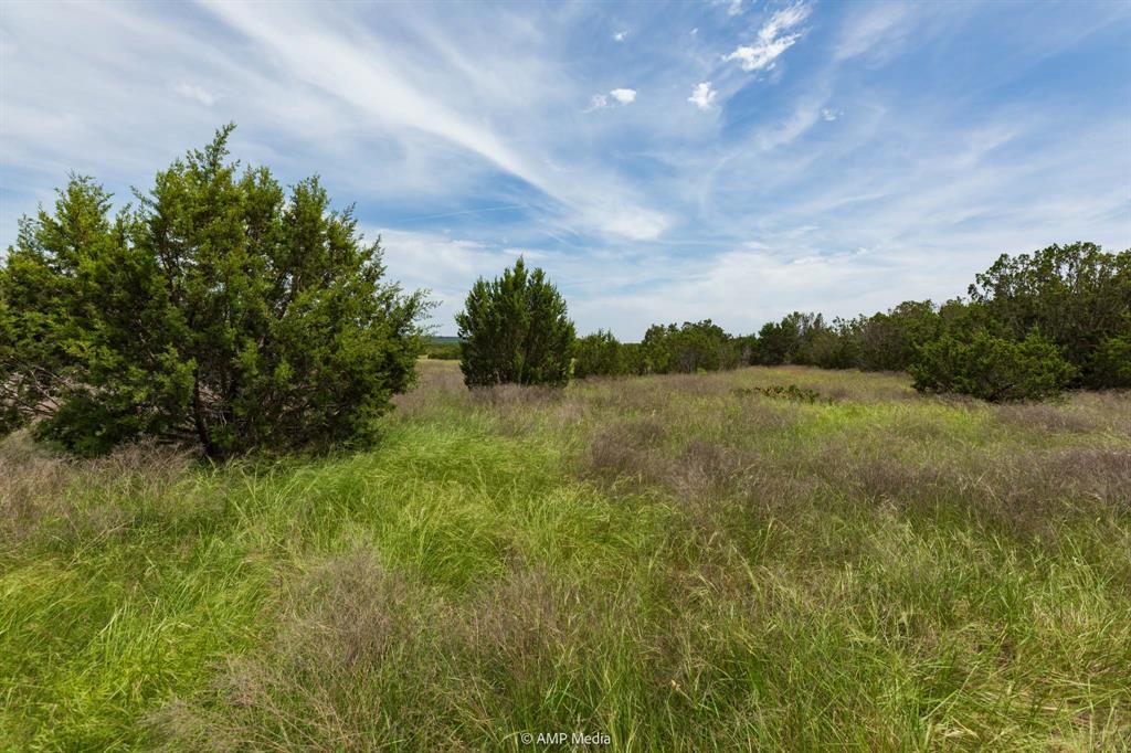 3 Us Highway Wingate, TX 79566 - Photo 15 of 19 a view of a big yard with plants and large trees