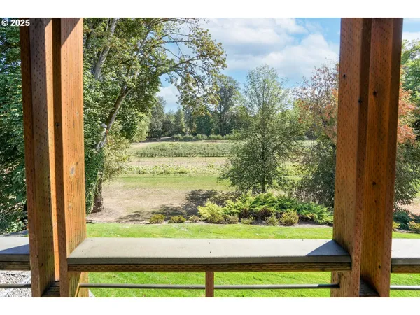 a view of a garden from a window