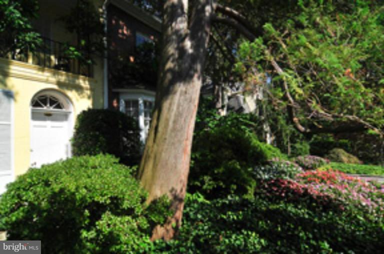 a front view of a house with a yard and tree