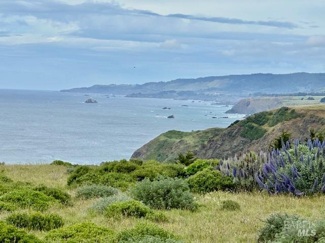 a view of beach and ocean