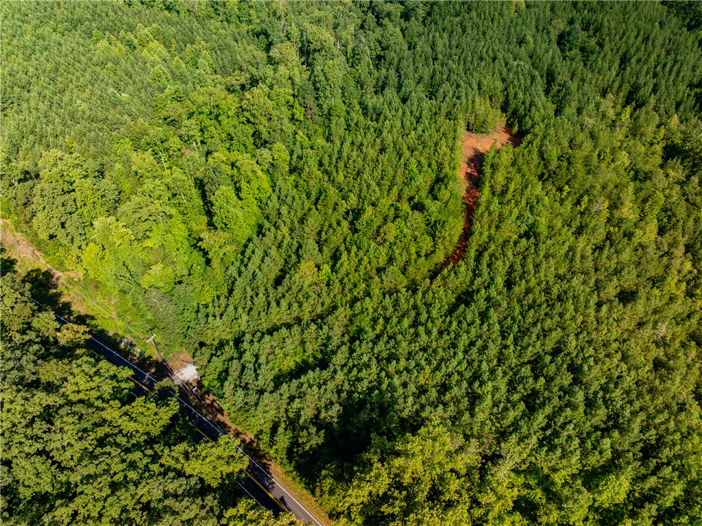 2 Bayshore Drive Seneca, SC 29672 - Photo 12 of 22